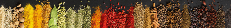Footer Image